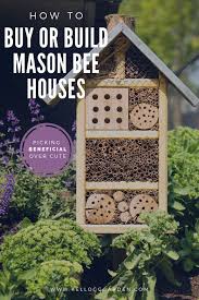 Mason Bee House Mason Bees Bee Houses