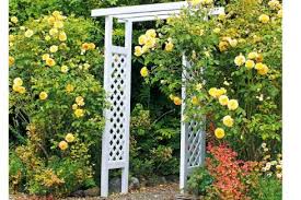 Build A Trellised Garden Archway