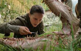 Alex garland's new film annihilation wants to make your jaw hang open in wonder, but once it's over, it's much more likely you'll be. The Most Beautiful Moments From The Annihilation Teaser From The Grapevine