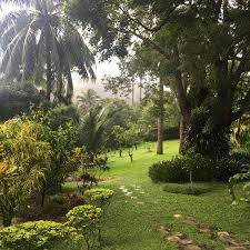Sunnyside Garden Grenada Tripadvisor