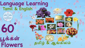 60 flowers name in tamil and english