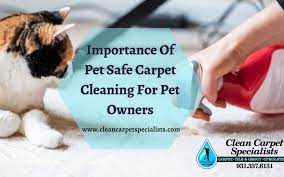 importance of pet safe carpet cleaning