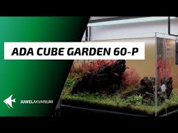 ada cube garden 60 p 4k cinematics