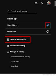 how to view and clear you history