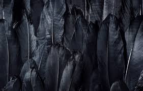 Find best dark wallpaper and ideas by device, resolution, and quality (hd, 4k) from a curated website list. Wallpaper Dark Black Feathers Textures Black Wallpaper 4k Ultra Hd Background Black Feathers Images For Desktop Section Tekstury Download