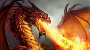 fire dragon cool best hd wallpaper