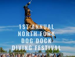 north fork dog dock diving festival