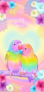 lovebirds love birds pastal