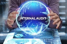 Top FAQs for Internal Audits - BizzSecure