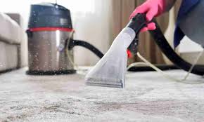 best diy way to deep clean carpet at