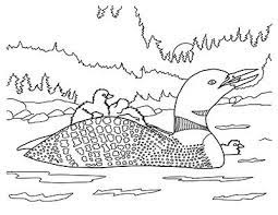 Free coloring sheets to print and download. Coloring Pages Loon Andrea Gabriel