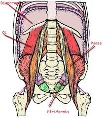 stress the psoas muscle and cause back pain