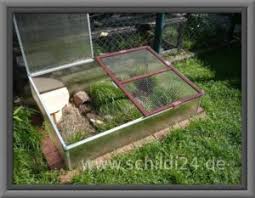 Schildkrötenhaus terrarium xlhandgemacht neu mit windfang und gratis heu stroh. Landschildkroten Unterbringung Freilandgehege Und Terrarium