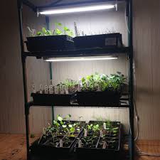 Grow Lights Indoor Greenhouses Family Food Garden Indoor Greenhouse Indoor Vegetable Gardening Modern Greenhouses