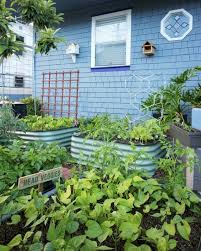 Raised Beds Grow Bagore With