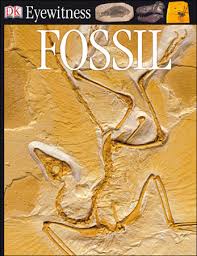Jetzt die volle programmvielfalt erleben hier informieren. Fossil Dk Eyewitness Books Flip Book Pages 1 50 Pubhtml5