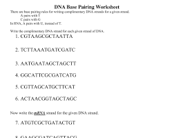 Chapter 14 dna replication worksheet and answer key. What Is The Base Pairing Rule For Dna Replication