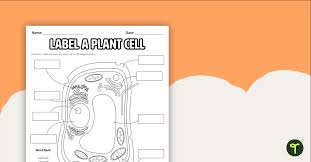 label a plant cell diagram worksheet