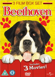 Beethoven s Third  Resleeve  DVD   Zavvi com