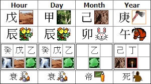 chinese zodiac five element birth chart