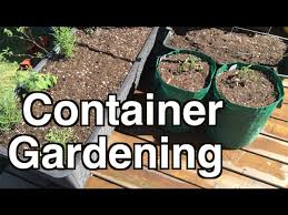 Small Spaces With Container Gardening