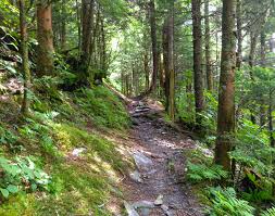 the 5 most difficult hiking trails in