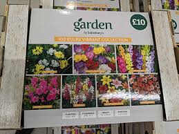 100 garden bulbs vibrant collection