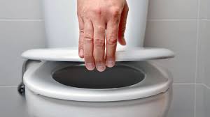 How To Fix A Squeaking Toilet Seat