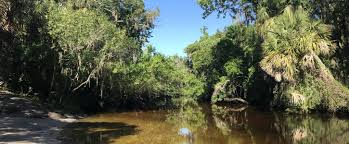 Little river springs is close to suwannee river. Little Manatee River State Park Florida State Parks
