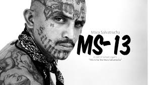 MS-13 by Dylan Dunn