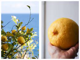 limoncello recipe and how to be true to