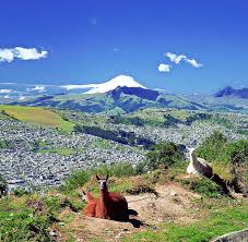 Find photos of quito ecuador. Ecuador Quito Ein Streifzug Durch Die Mitte Der Welt Welt