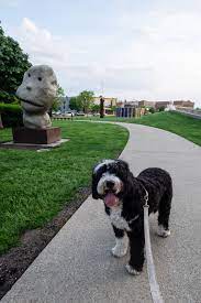 our dog friendly guide to des moines