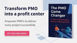 pmo and its roles and responsibilities