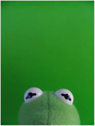 Here we encourage you to post kermit memes about any subject. Supreme Kermit The Frog Wallpapers Broken Panda