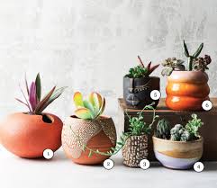 indoor pots for your beloved houseplant