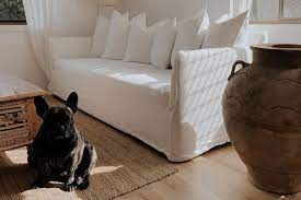 Choosing A Pet Friendly Sofa Lounge