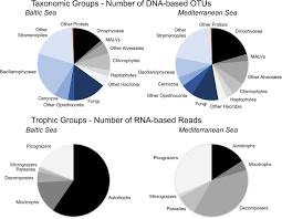 Frontiers Unicellular Eukaryotic Community Response To