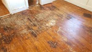 6 signs of hardwood floor water damage