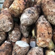 Big Taro Root Information Recipes And Facts