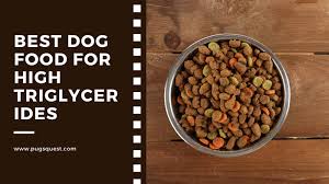 Low fat dog diets is one of the best choices that pet parents can follow. Best Dog Food For High Triglycerides Low Fat Food For Dogs