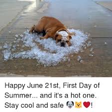 Throughout the day, people posted images and jokes about white boy summer. Happy June 21st First Day Of Summer And It S A Hot One Stay Cool And Safe Meme On Ballmemes Com