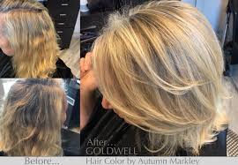 goldwell hair color colors fort lauderdale salon orig remarkable topchic 6nn colour chart uk australia 1920