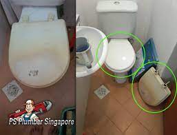Change New Toilet Seat Cover In