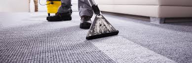 team for office carpet cleaning