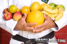 7 Facts You Need To Know Before You Adopt The Gracie Diet