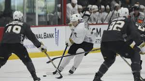 Vgk Announce 2019 Development Camp Roster And Schedule Of Events