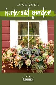 A planter box is ideal for a kitchen window herb garden. Planting Colorful Autumn Flowers In 2020 Window Box Flowers Container Gardening Flowers Fall Window Boxes