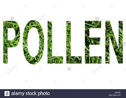 Pollen Lettering Word Text Grass Filling Season