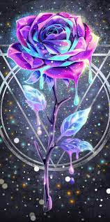 Drippy galaxy flower, black, rose, HD ...